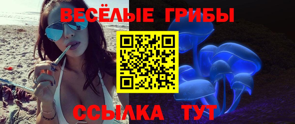 Псилоцибиновые грибы Psilocybine cubensis  Вход с VPN  Ирбит 