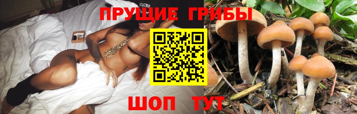 Псилоцибиновые грибы Magic Shrooms Ирбит